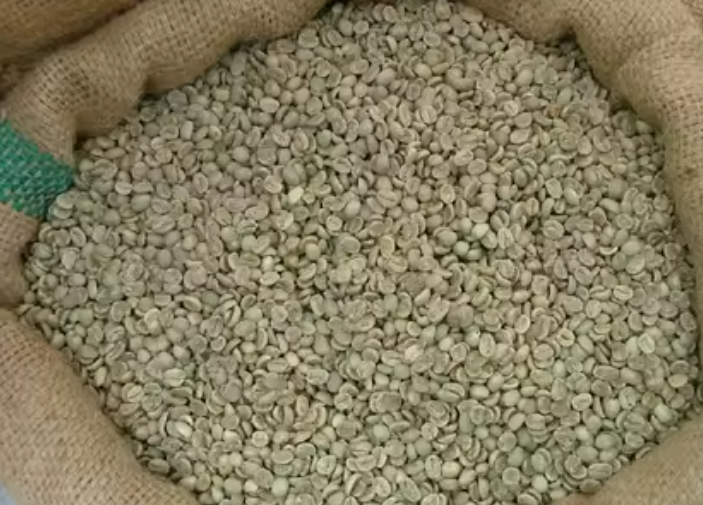 حبوب قهوة خضراء