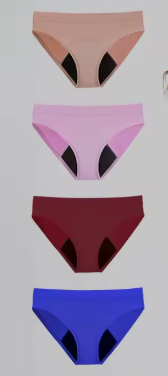 Women's Period Panties