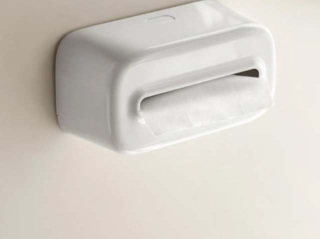 Plastic Modern Wall-mounted Towel & Tissue Storage Box